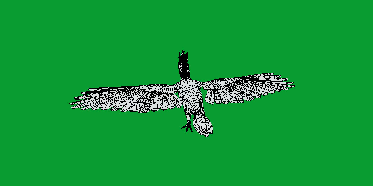 White Bellied Woodpecker Bird Low-poly 3D model_20