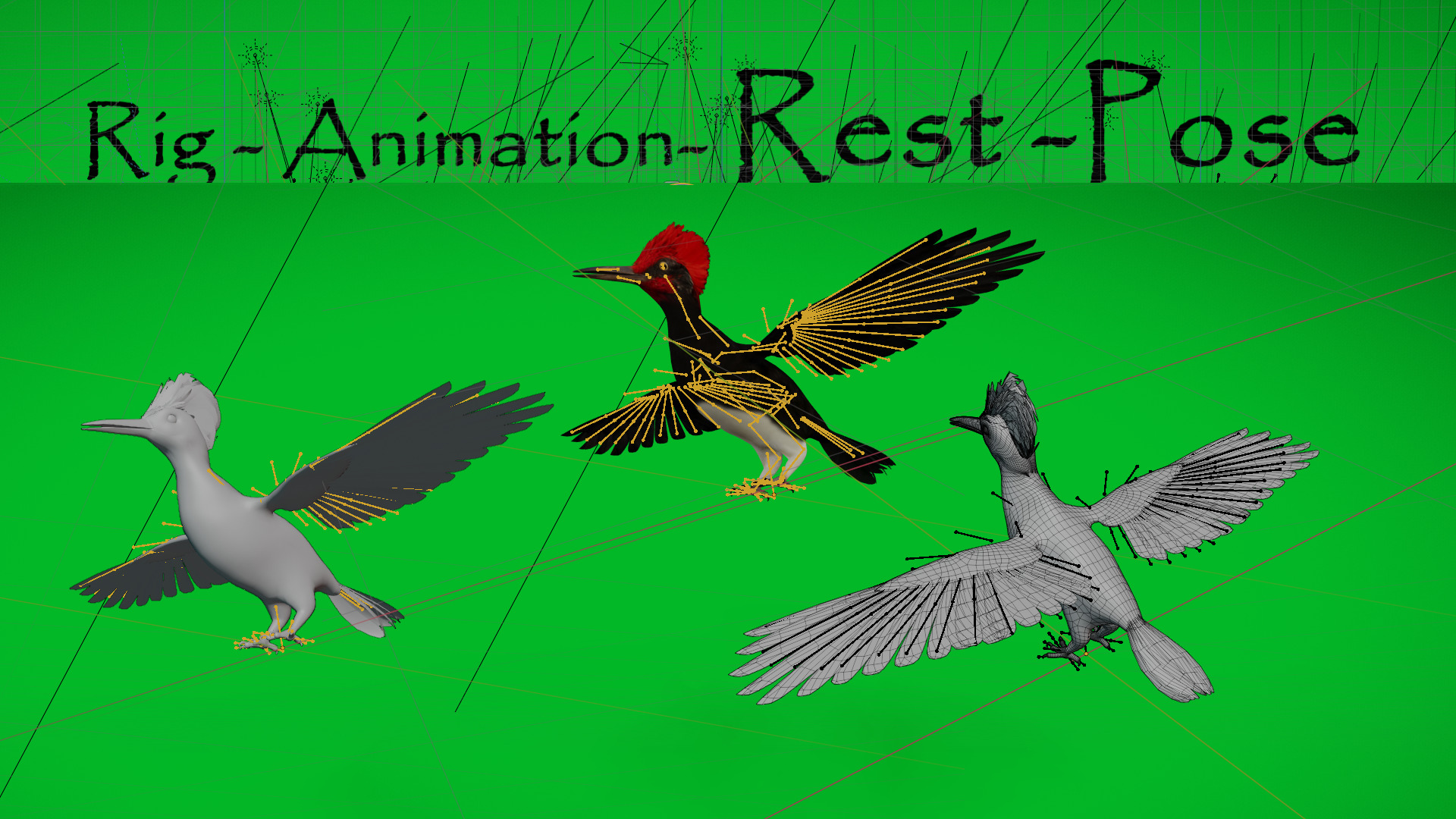 White Bellied Woodpecker Bird Low-poly 3D model_7