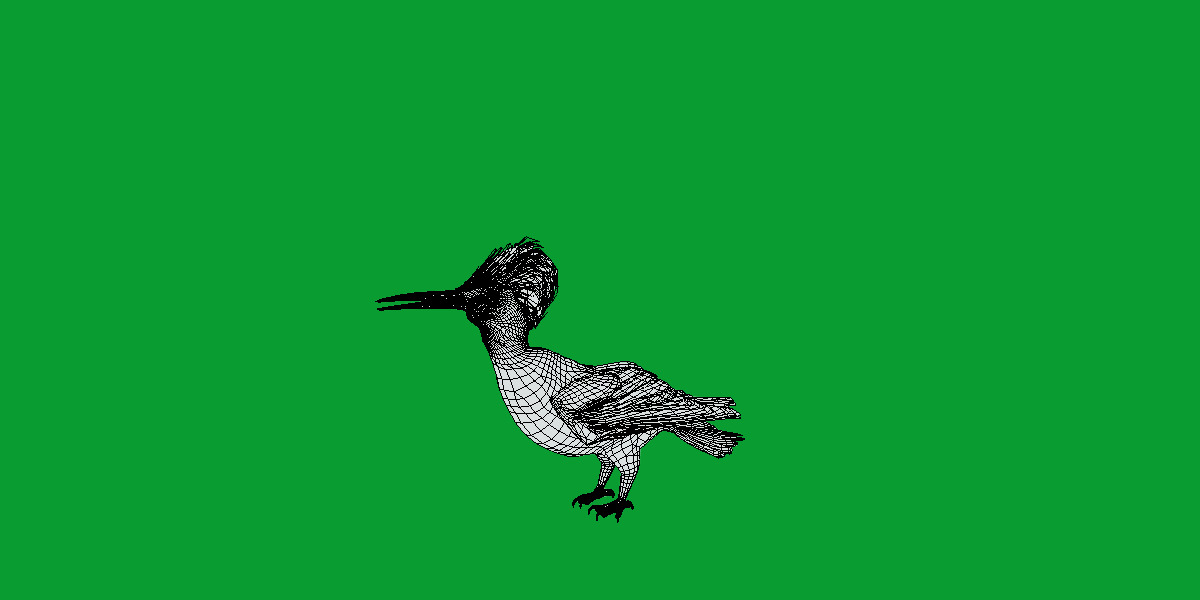 White Bellied Woodpecker Bird Low-poly 3D model_23