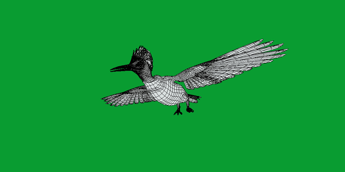 White Bellied Woodpecker Bird Low-poly 3D model_21