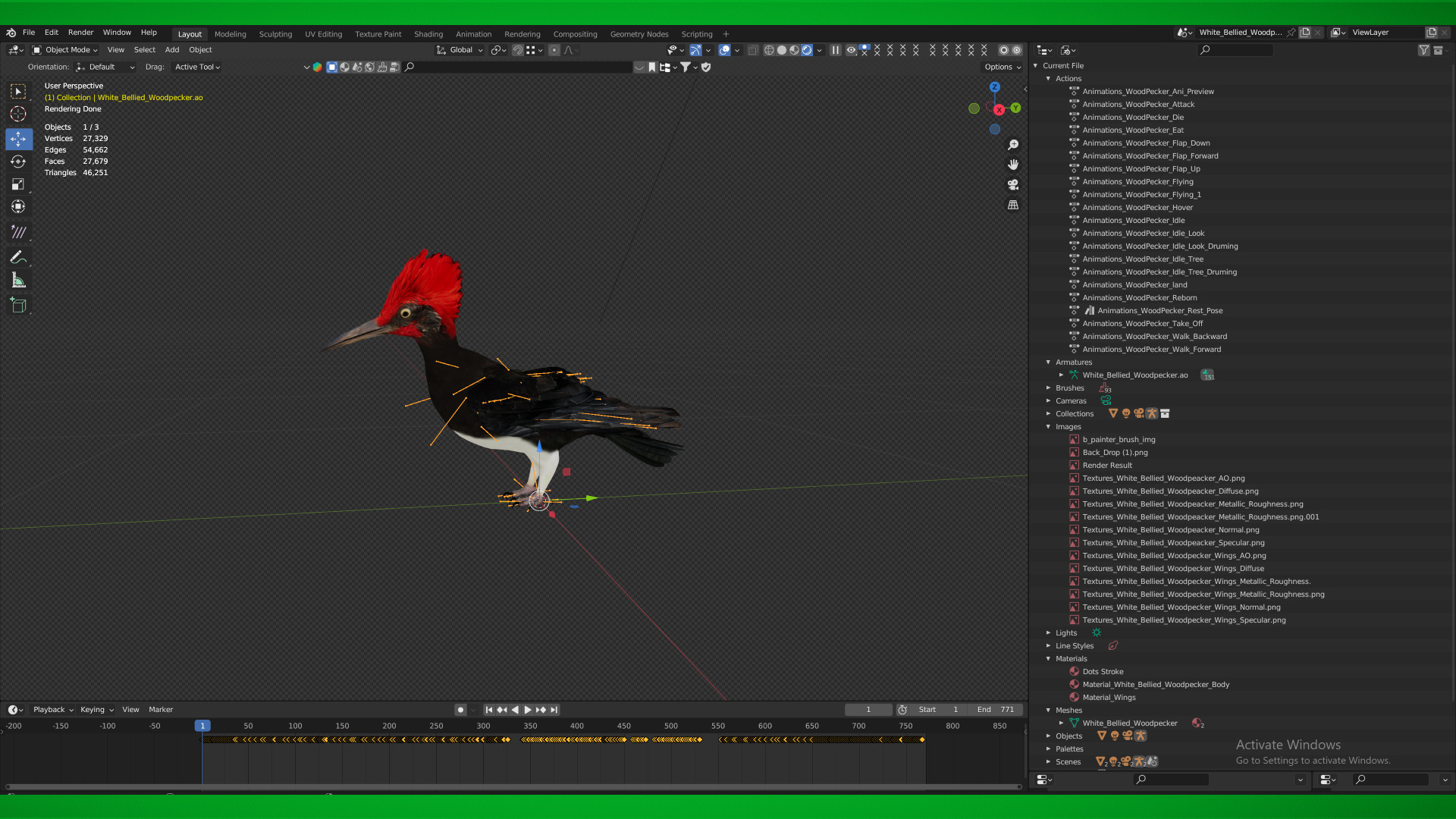 White Bellied Woodpecker Bird Low-poly 3D model_5