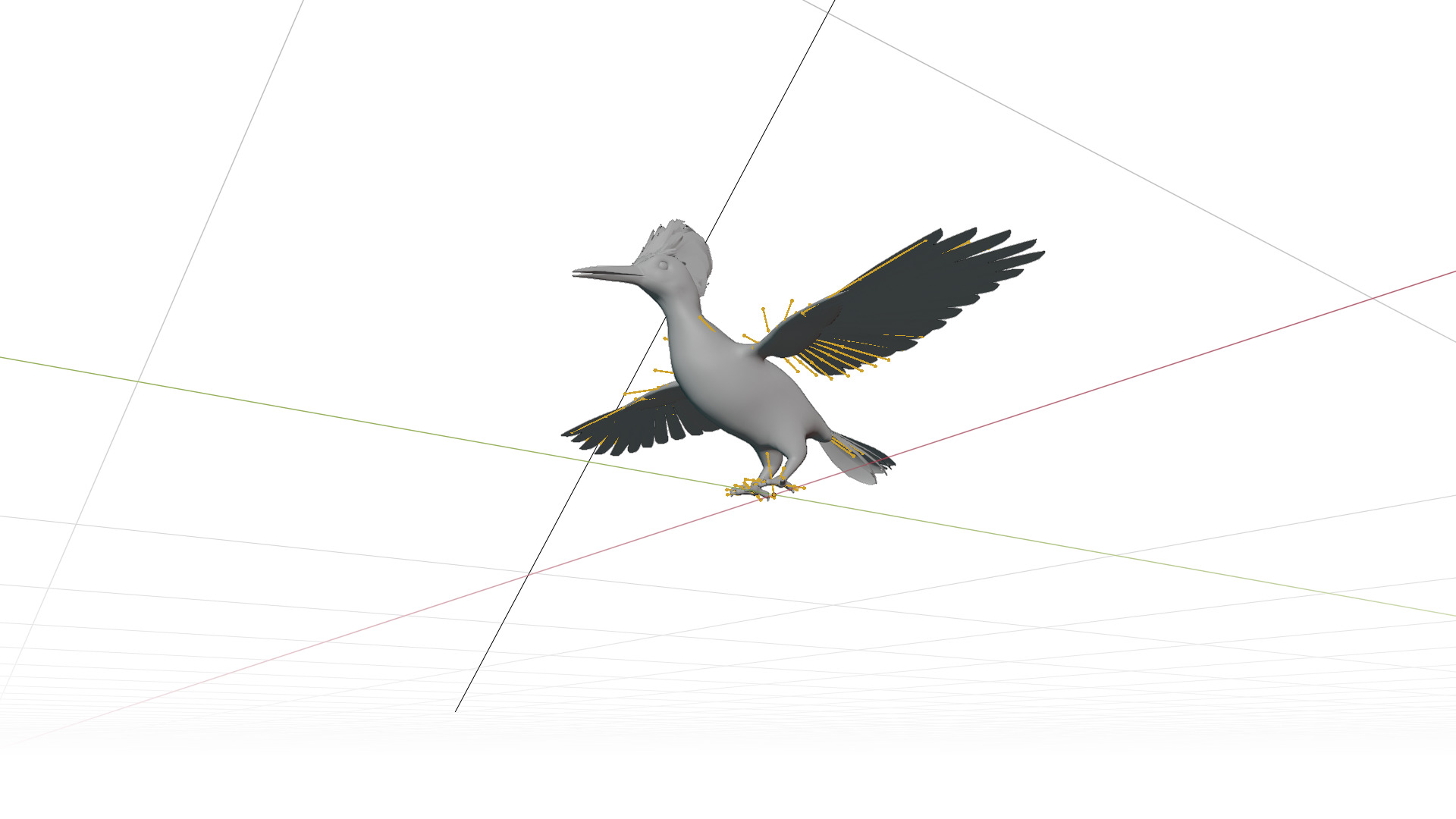 White Bellied Woodpecker Bird Low-poly 3D model_14