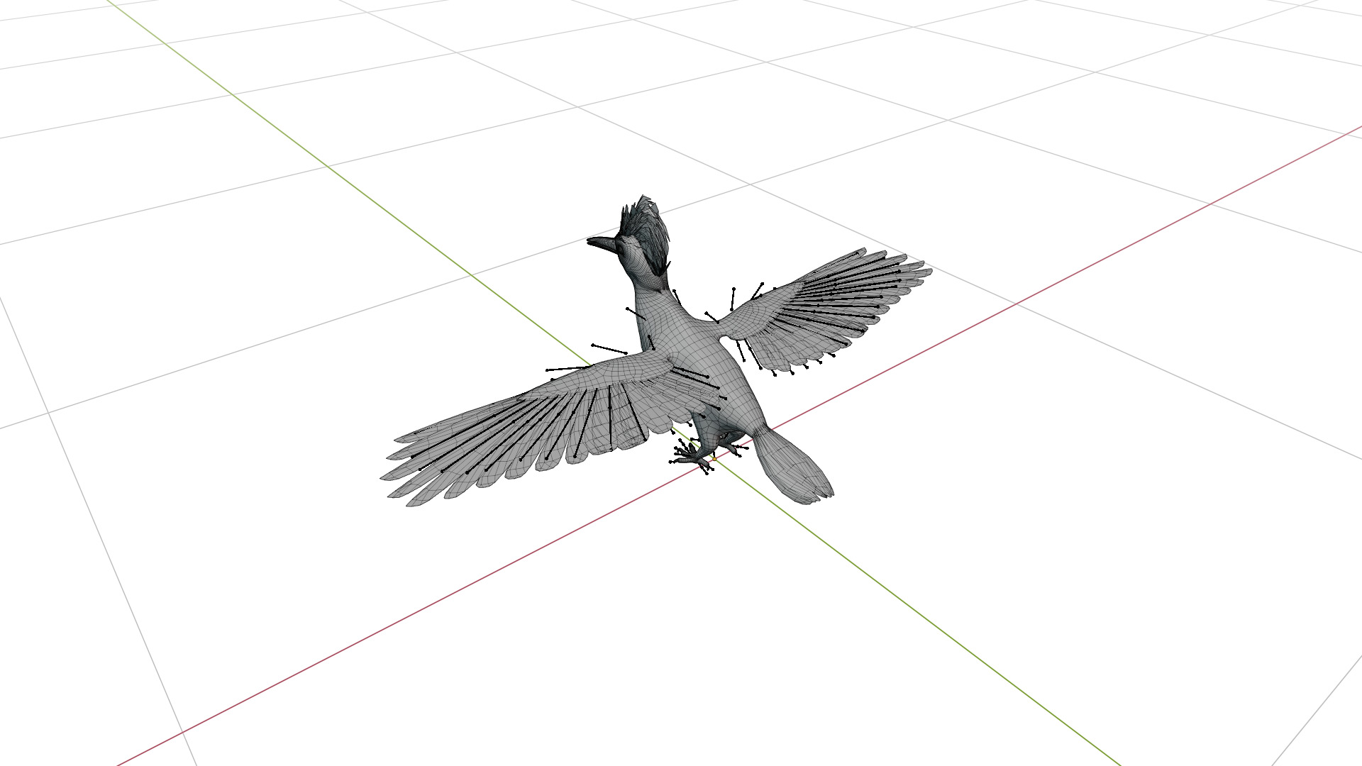 White Bellied Woodpecker Bird Low-poly 3D model_12
