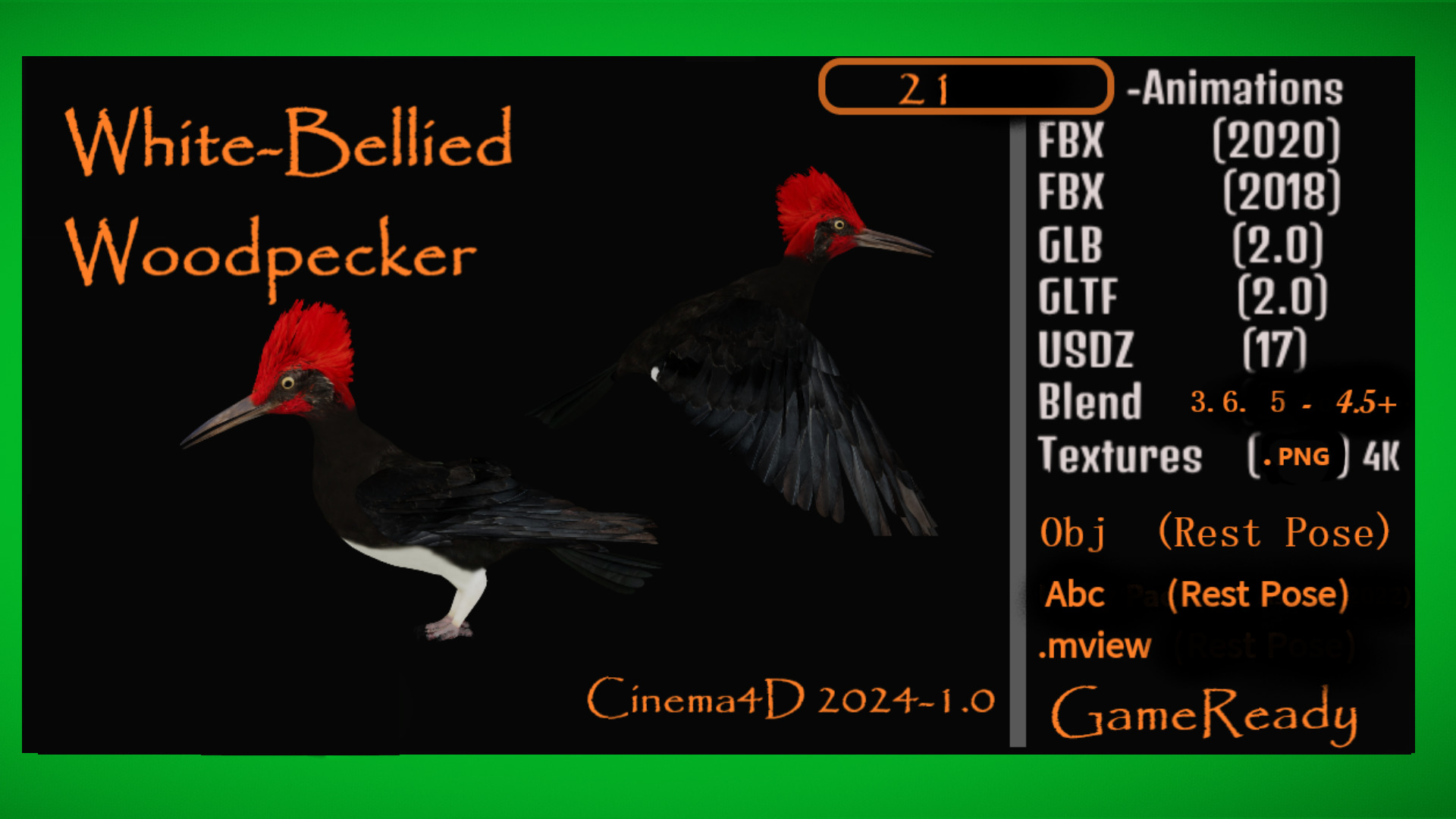 White Bellied Woodpecker Bird Low-poly 3D model_4