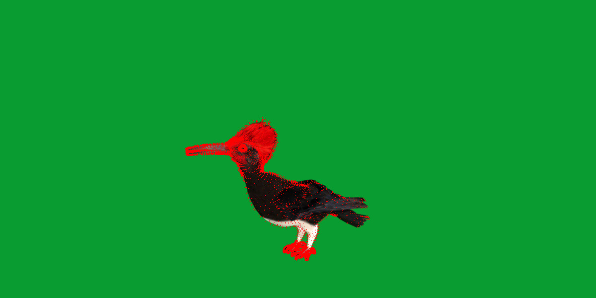 White Bellied Woodpecker Bird Low-poly 3D model_42