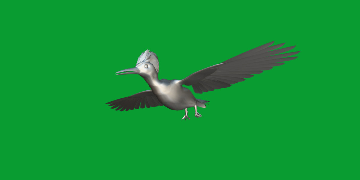 White Bellied Woodpecker Bird Low-poly 3D model_36