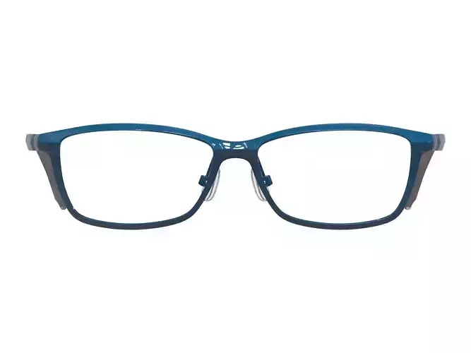 eyeglasses 3D print model