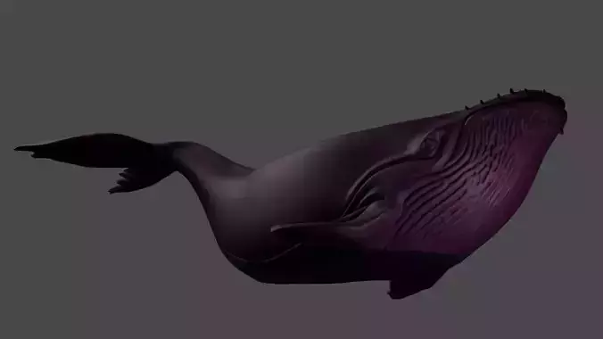 Whale candlestick for filling candles