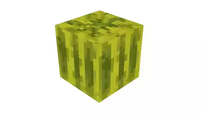 Minecraft Watermelon
