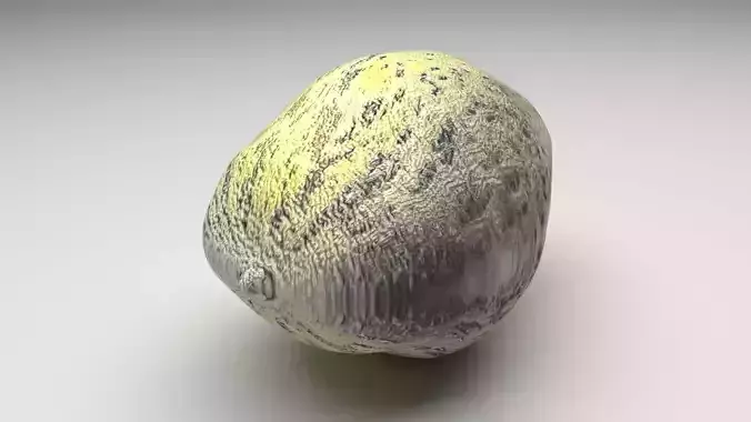 Crane Melon 3D model