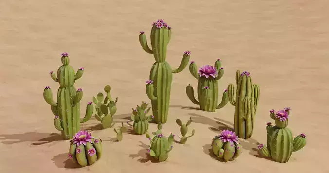 Stylized Cactuses Pack