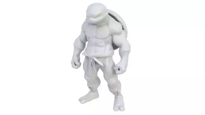 Turtle character figurine