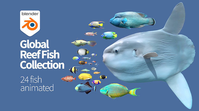 Global Reef Fish 24 Low-poly 3D model