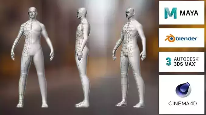 3D Male Character Model Low Med High Poly  Animation Ready 