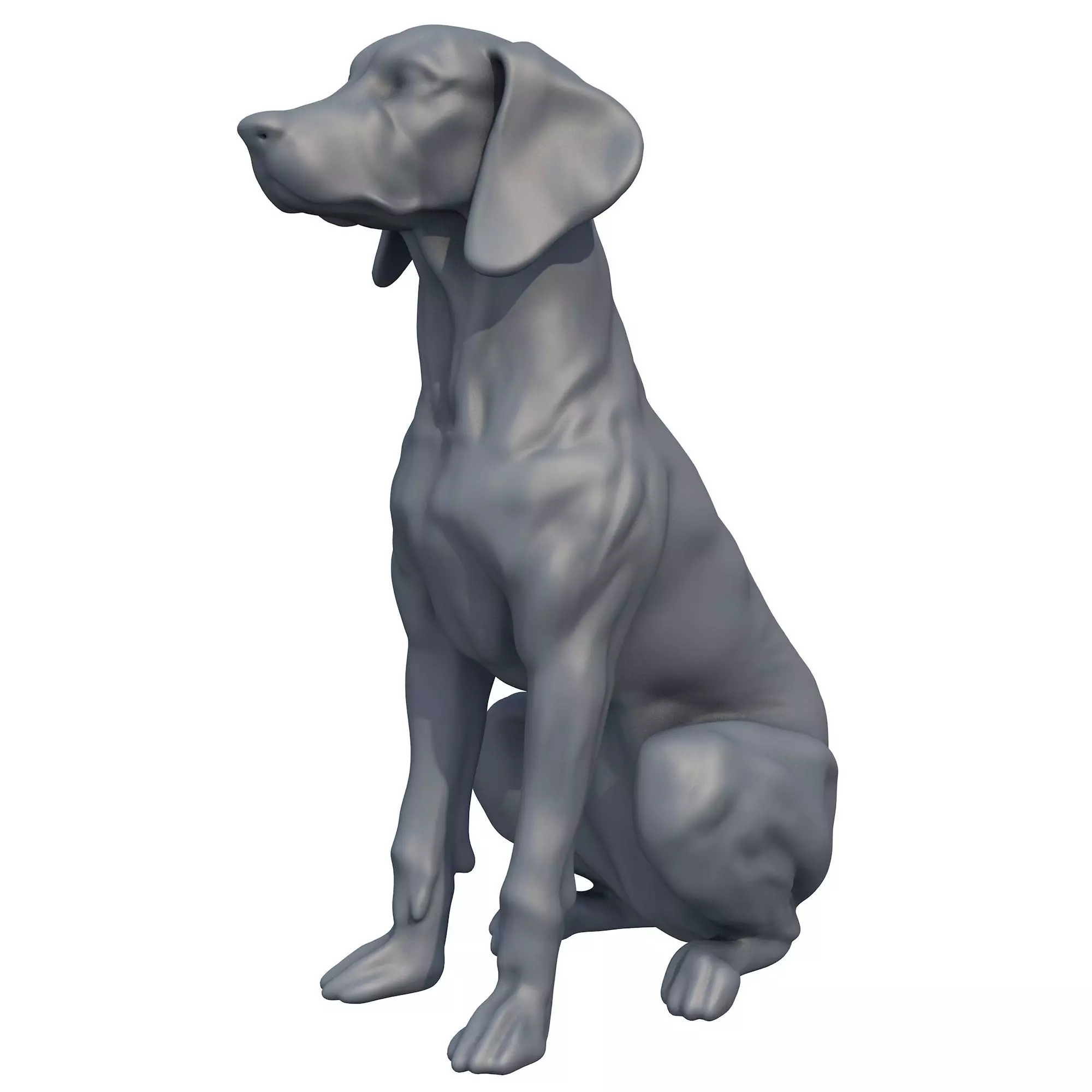 Hungarian Pointer Dog Vizsla 3D print model