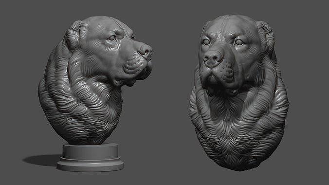 Central Asian Shepherd Dog Alabai 3D print model