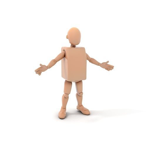 Basic Humanoid Character Rigged and Animated Low-poly 3D model
