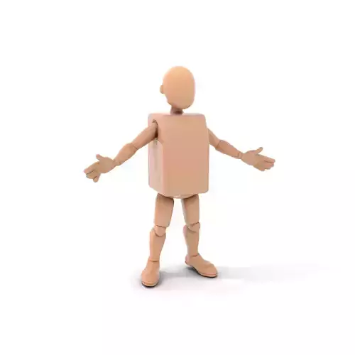 Basic Humanoid Character Rigged and Animated