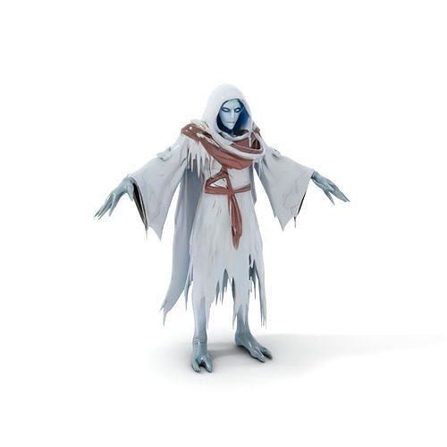 Ethereal Wraith Character Model  Fully Rigged and Animated Low-poly 3D model