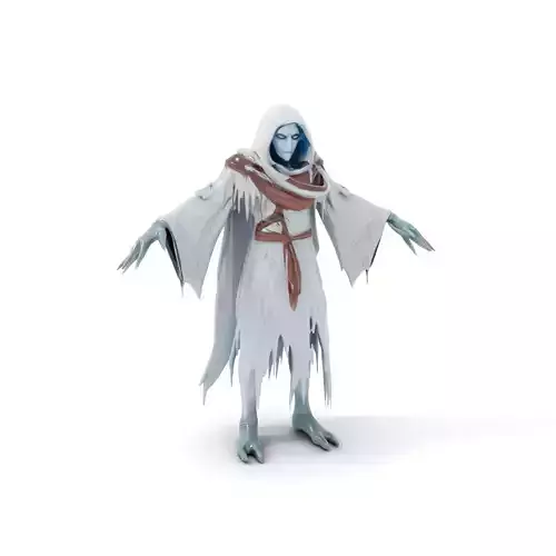 Ethereal Wraith Character Model  Fully Rigged and Animated Low-poly 3D model