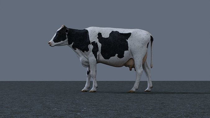 Dairy cow  Low-poly 3D model