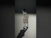 Haunted Child Zombie Character Rigged and Animated Low-poly 3D model_2