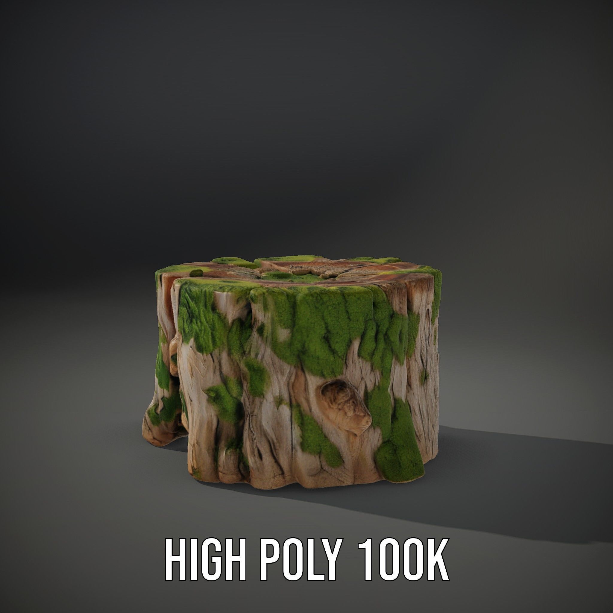 Mossy Tree Stump Model Pack for Nature Scenes Low-poly 3D model_9