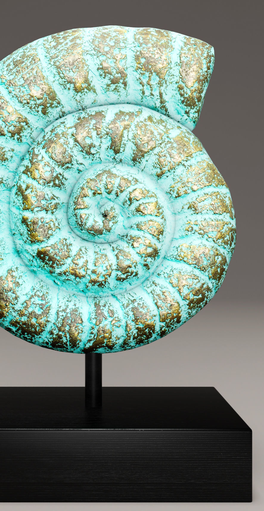 ammonite shell 1 3D model_3