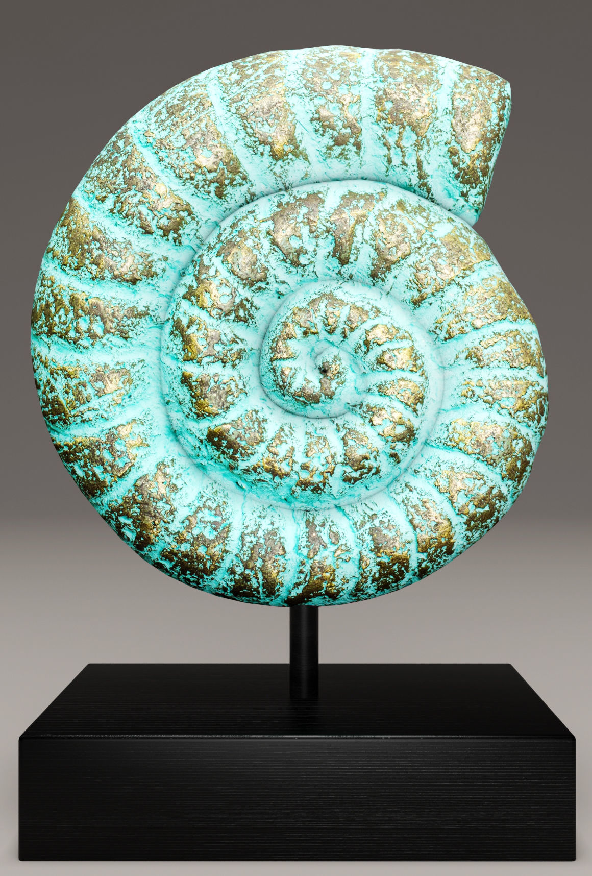 ammonite shell 1 3D model_4