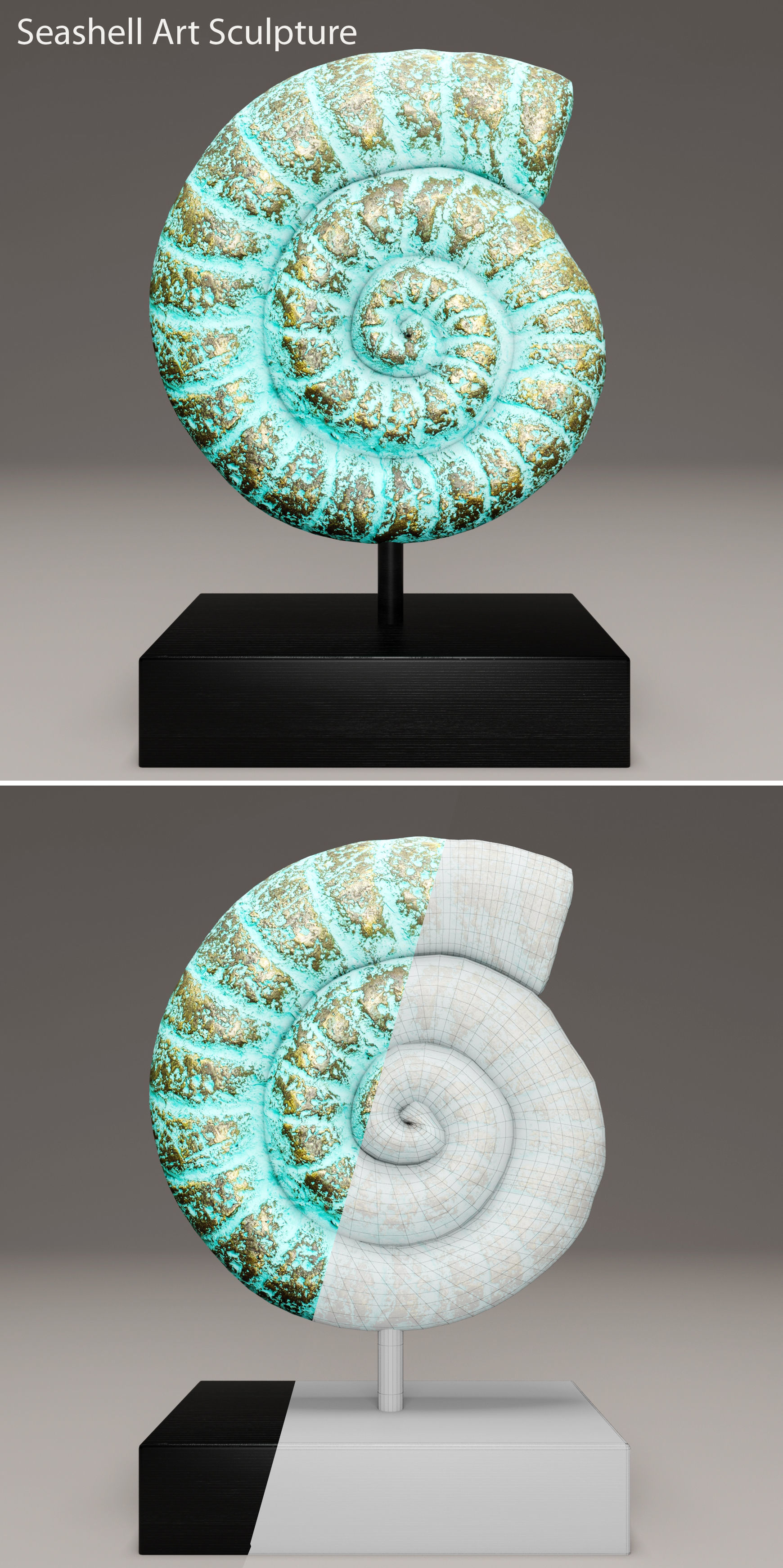 ammonite shell 1 3D model_7