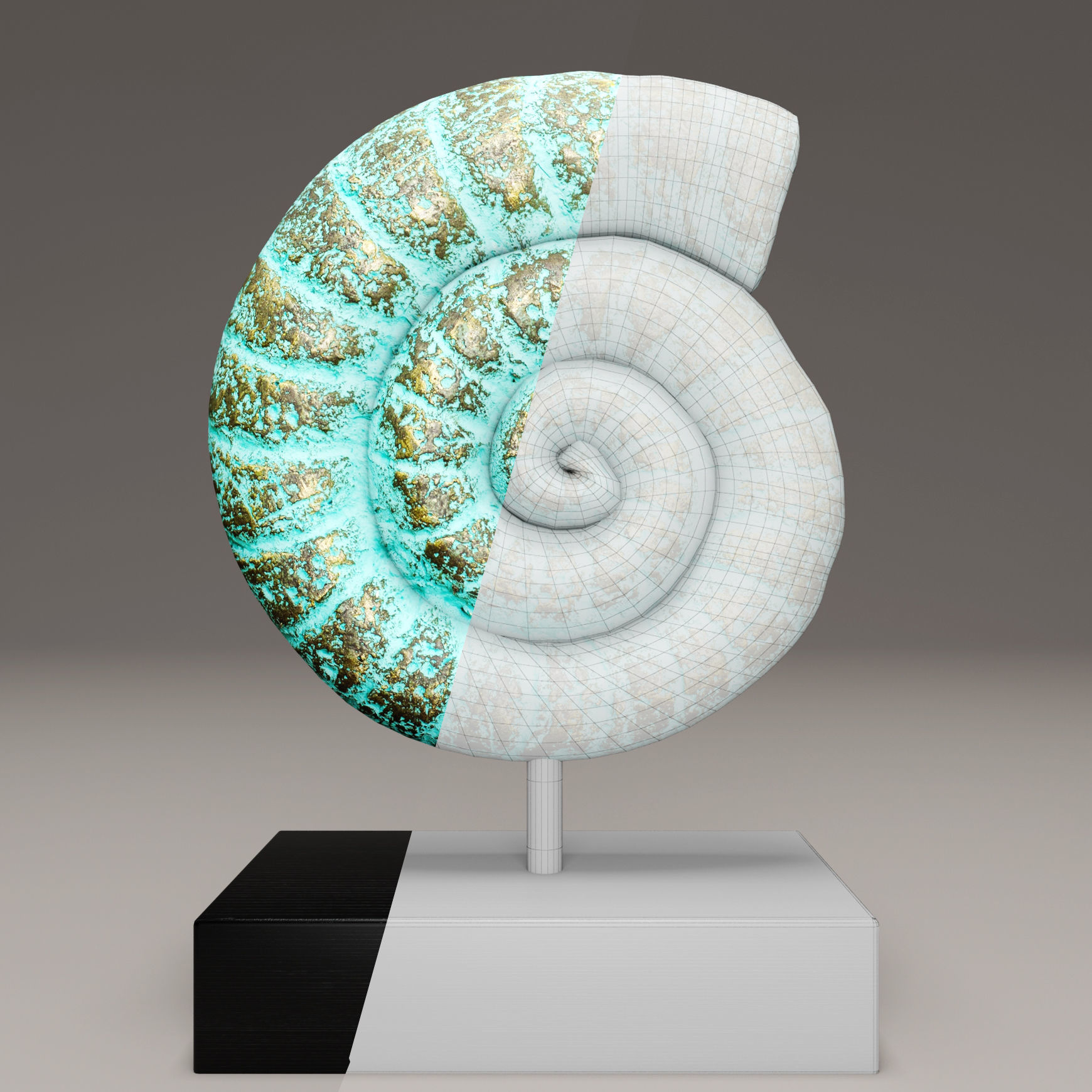 ammonite shell 1 3D model_6