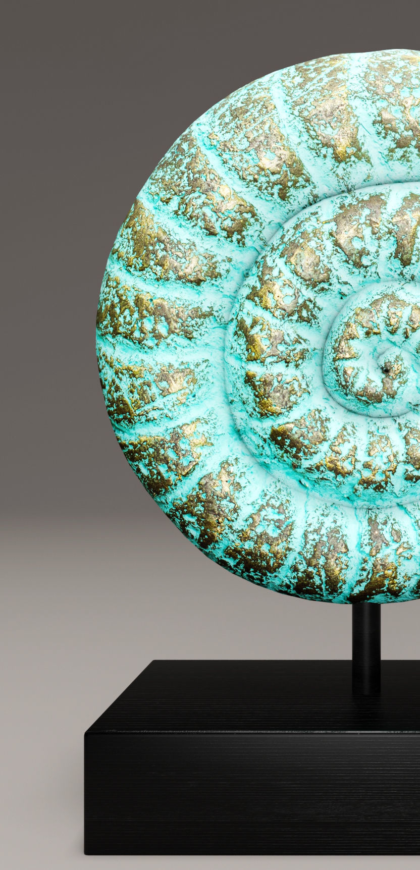 ammonite shell 1 3D model_1