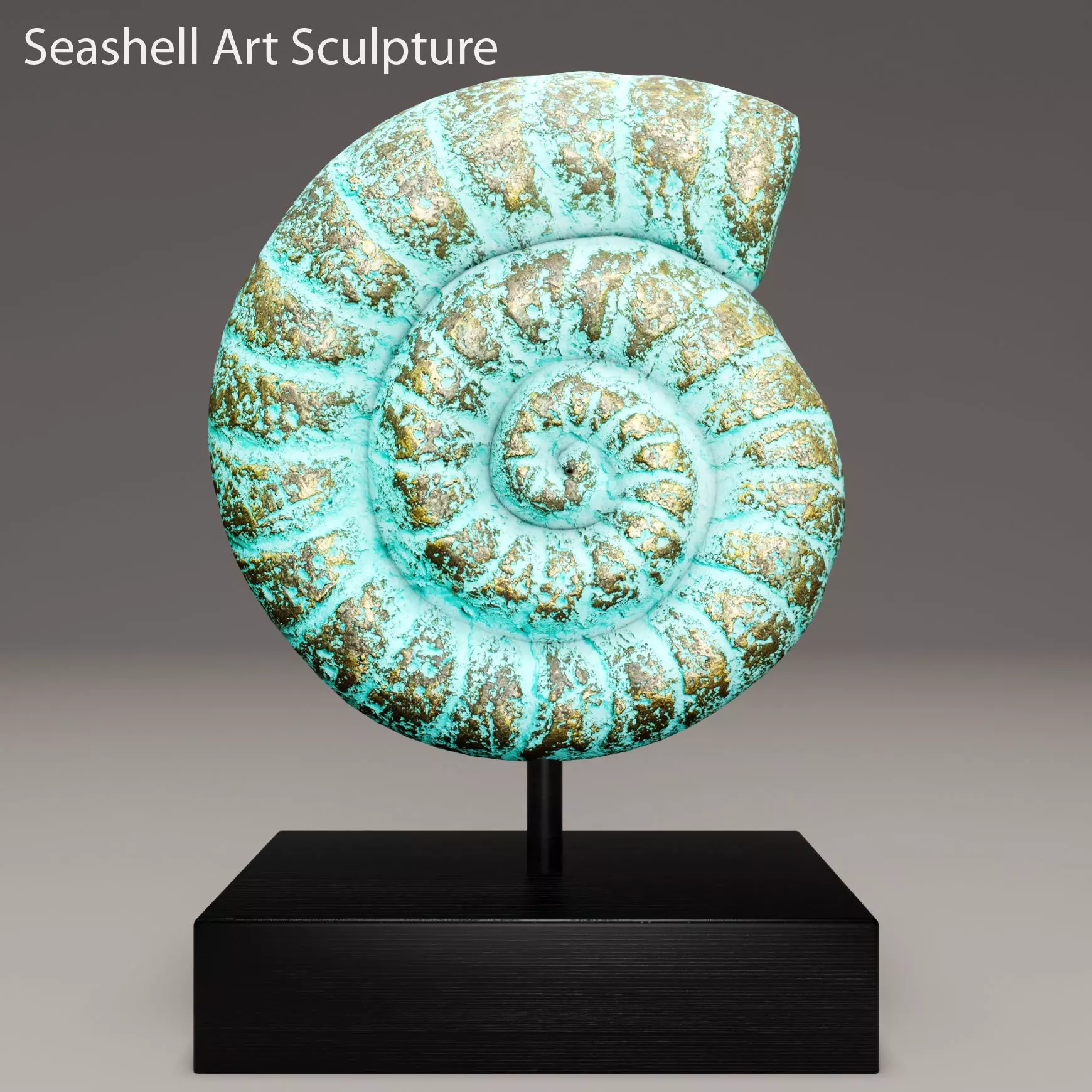 ammonite shell 1 3D model_0