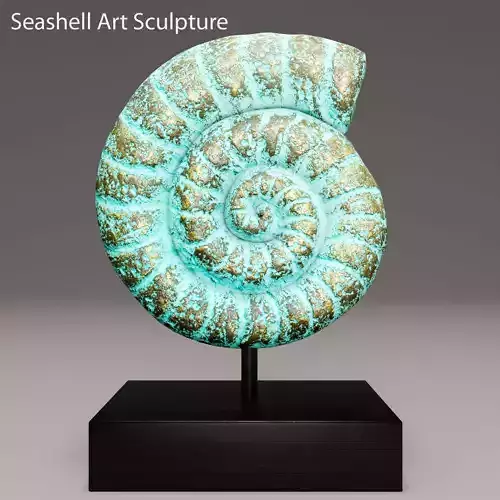 ammonite shell 1 3D model