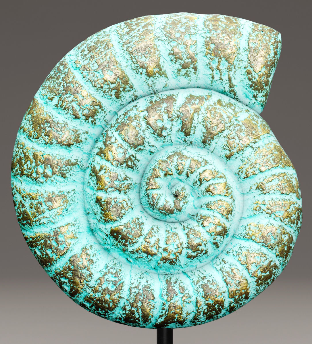 ammonite shell 1 3D model_2