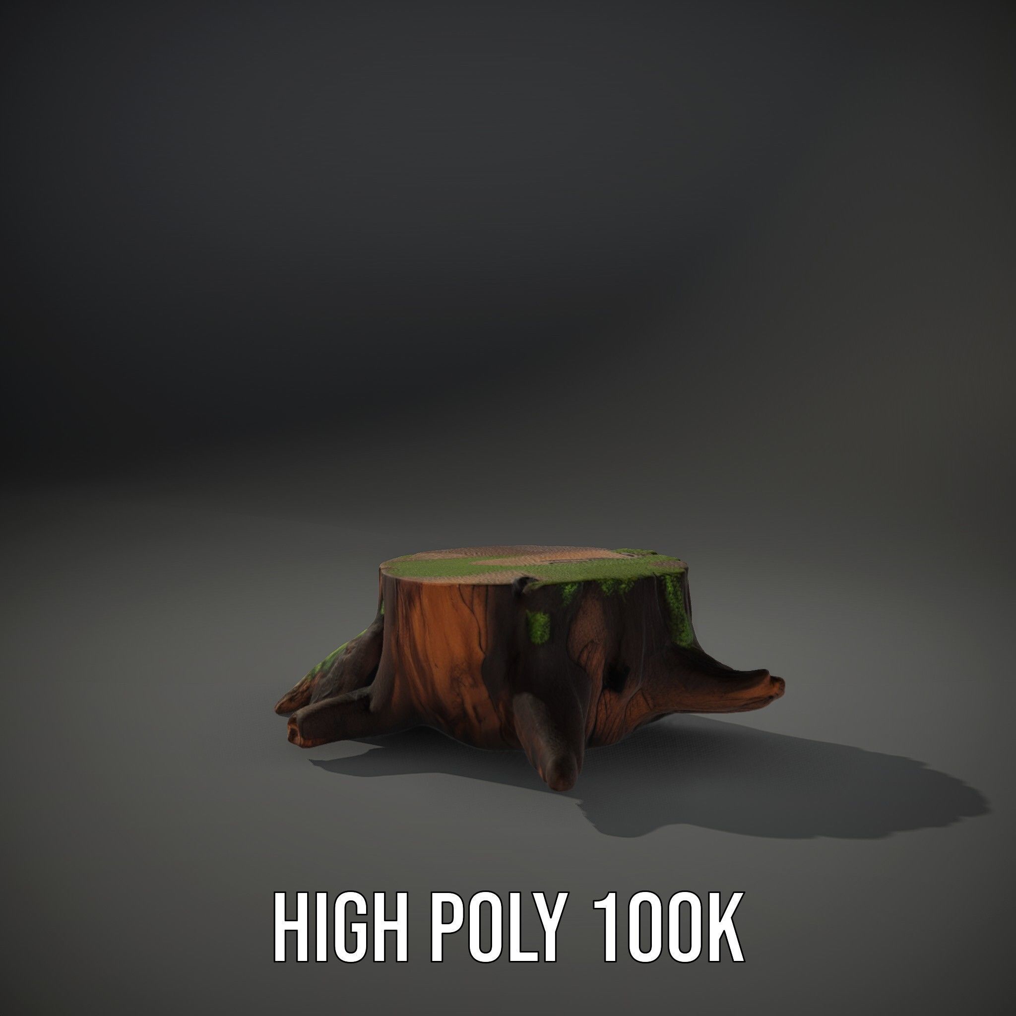Mossy Tree Stump Model Pack for Realistic Environments Low-poly 3D model_10