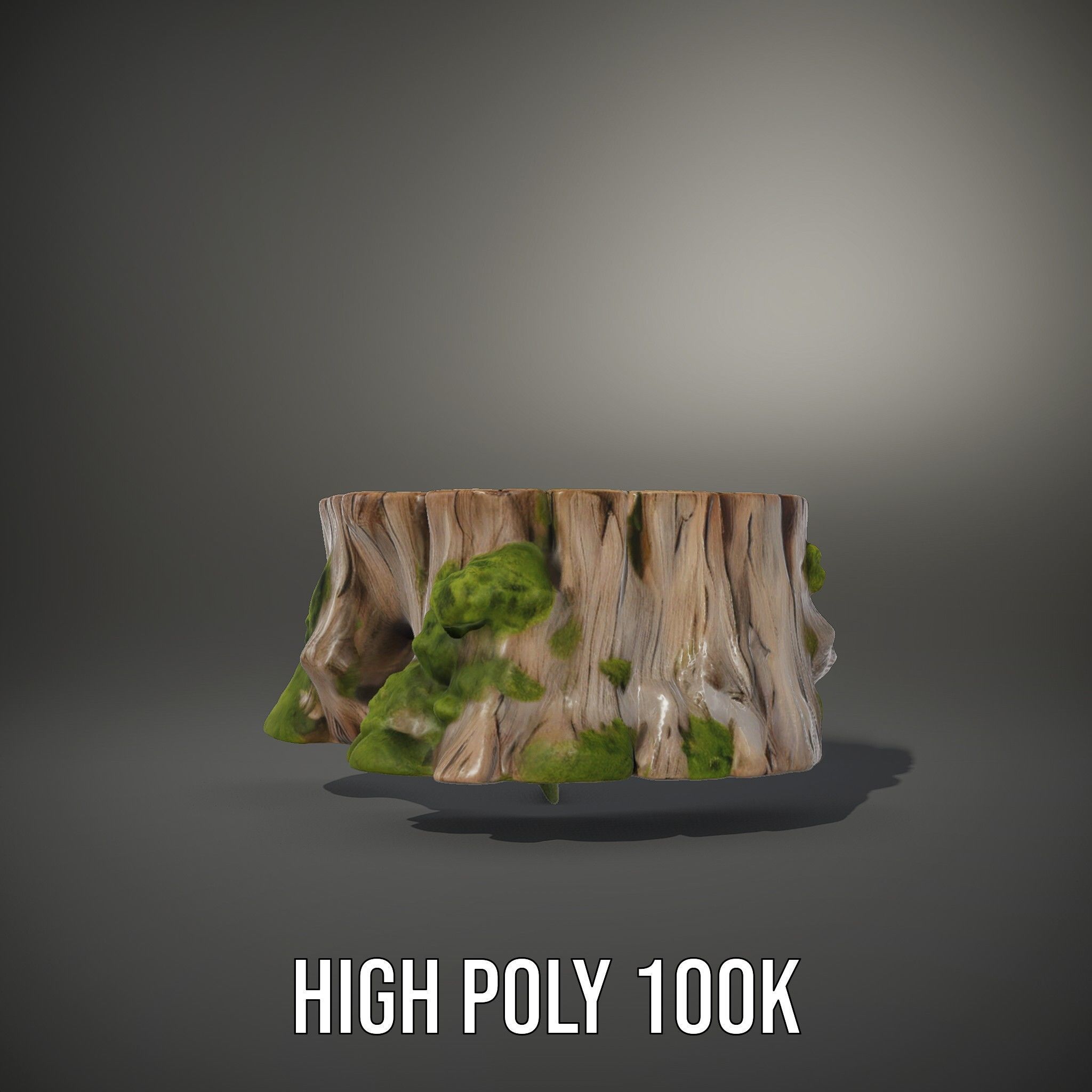 Tree Stump with Moss Model Pack Low-poly 3D model_8