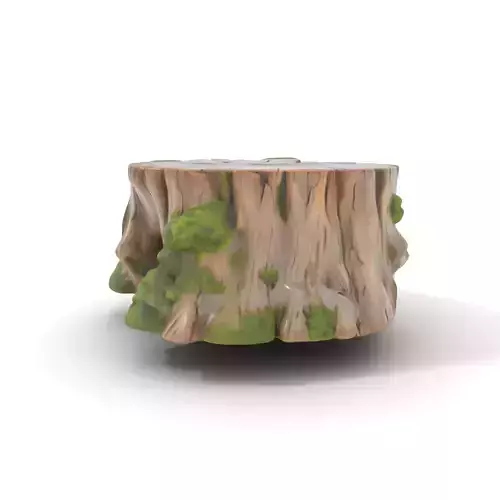 Tree Stump with Moss Model Pack
