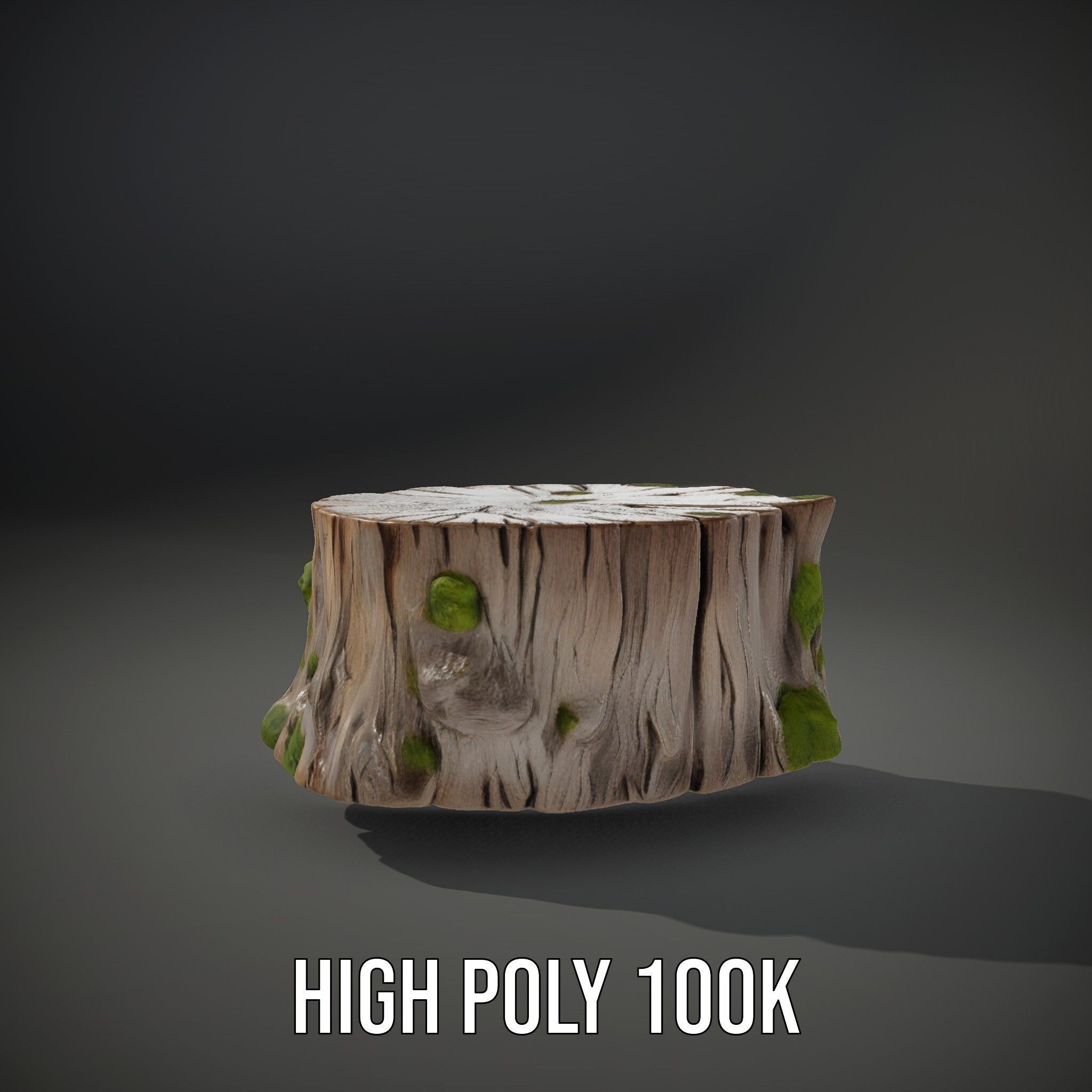 Tree Stump with Moss Model Pack Low-poly 3D model_10