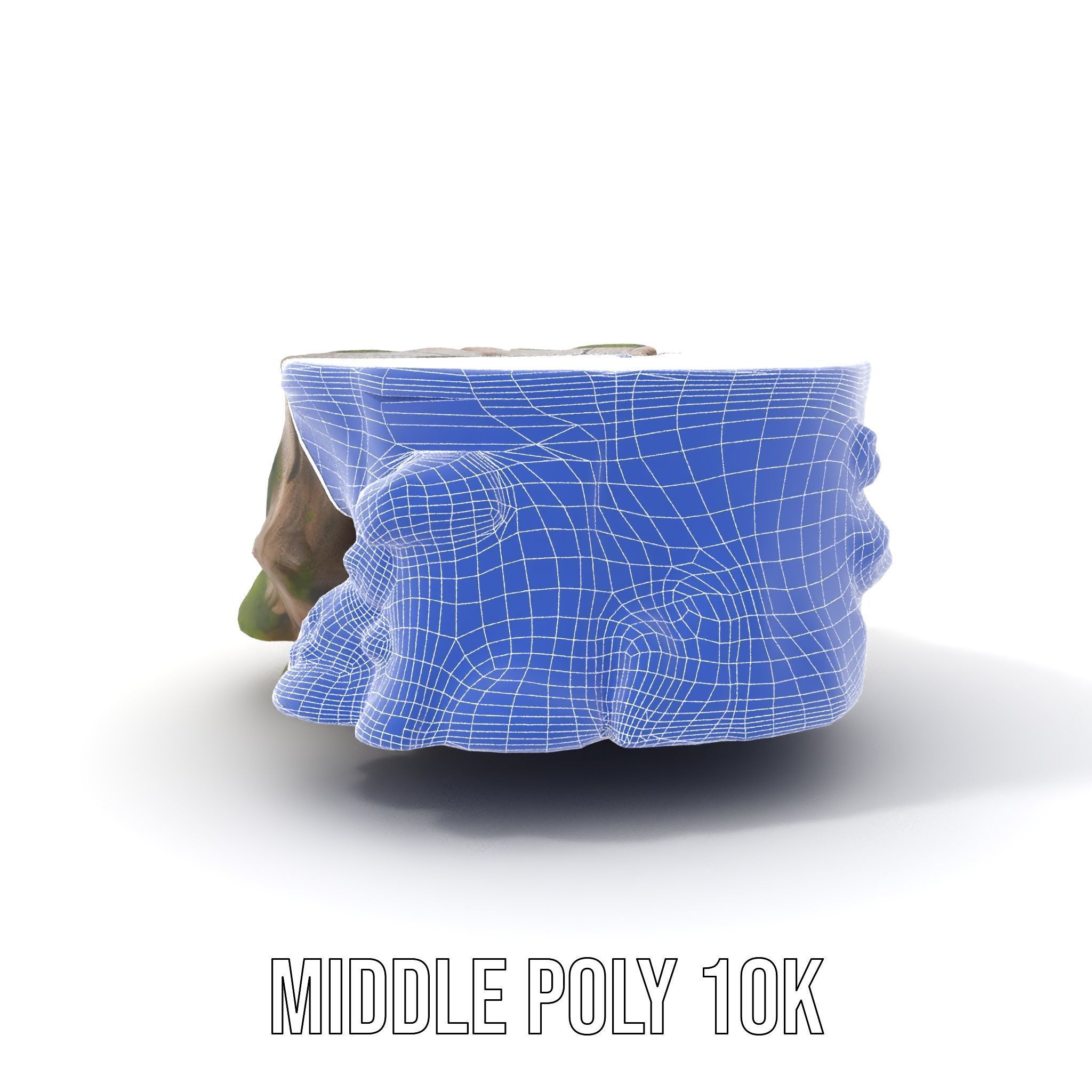 Tree Stump with Moss Model Pack Low-poly 3D model_6