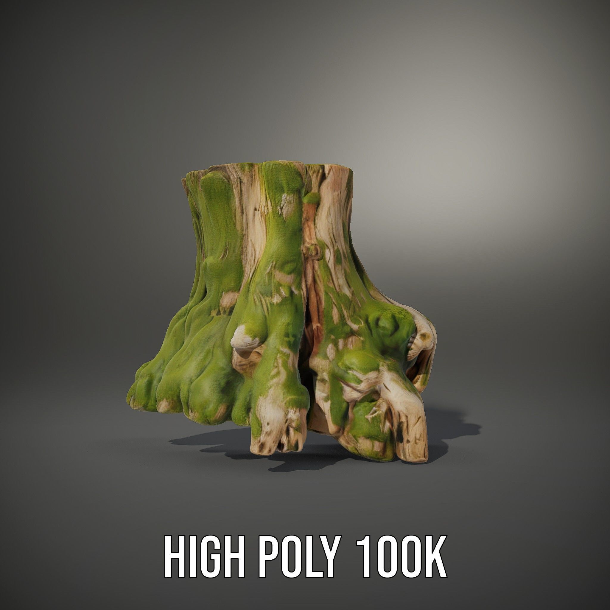 Realistic Tree Stump with Moss Model Pack Low-poly 3D model_10