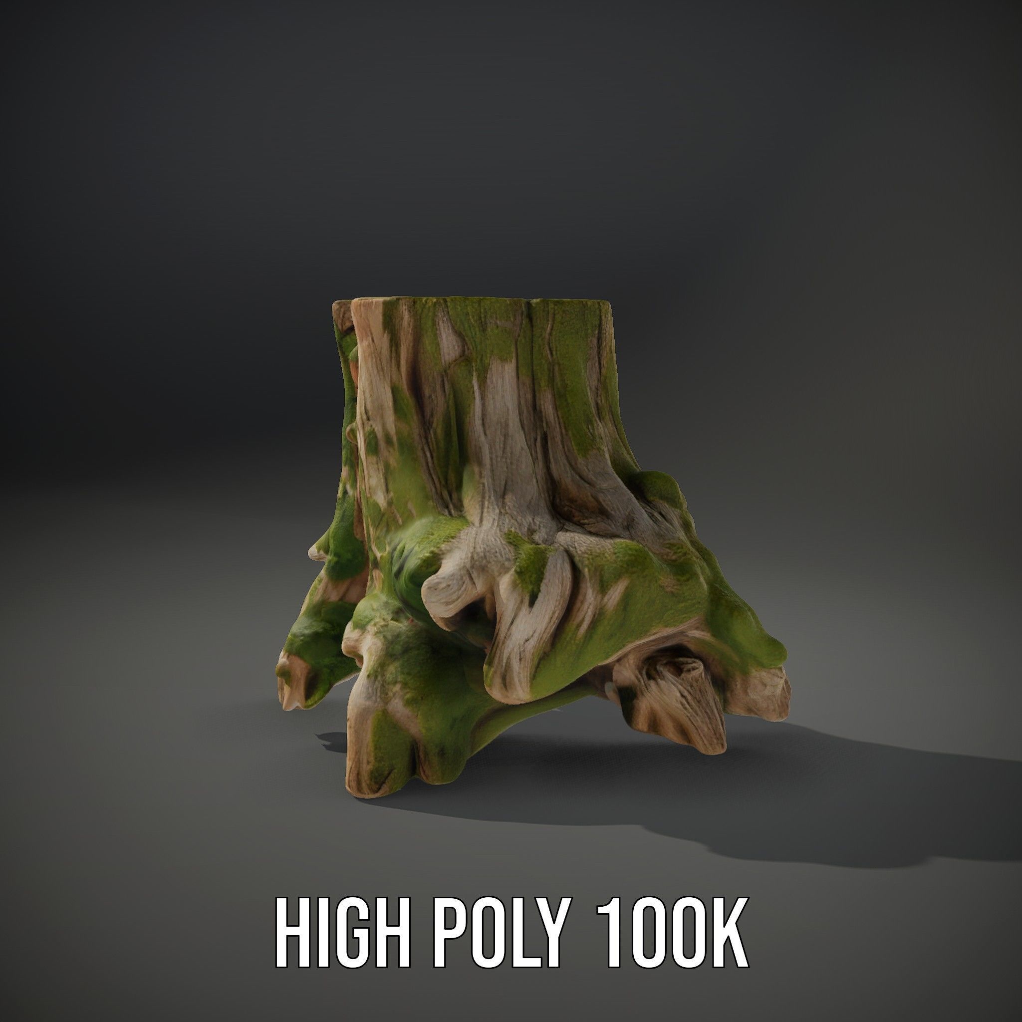 Realistic Tree Stump with Moss Model Pack Low-poly 3D model_8