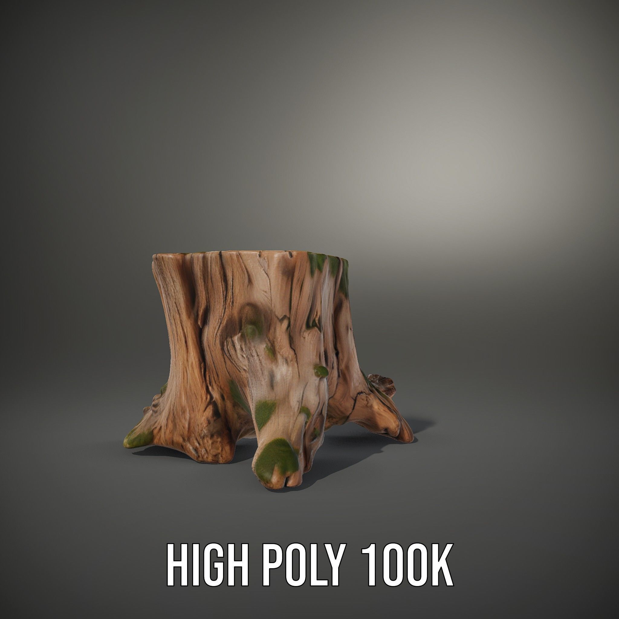 Realistic Tree Stump with Moss Model Pack Low-poly 3D model_10