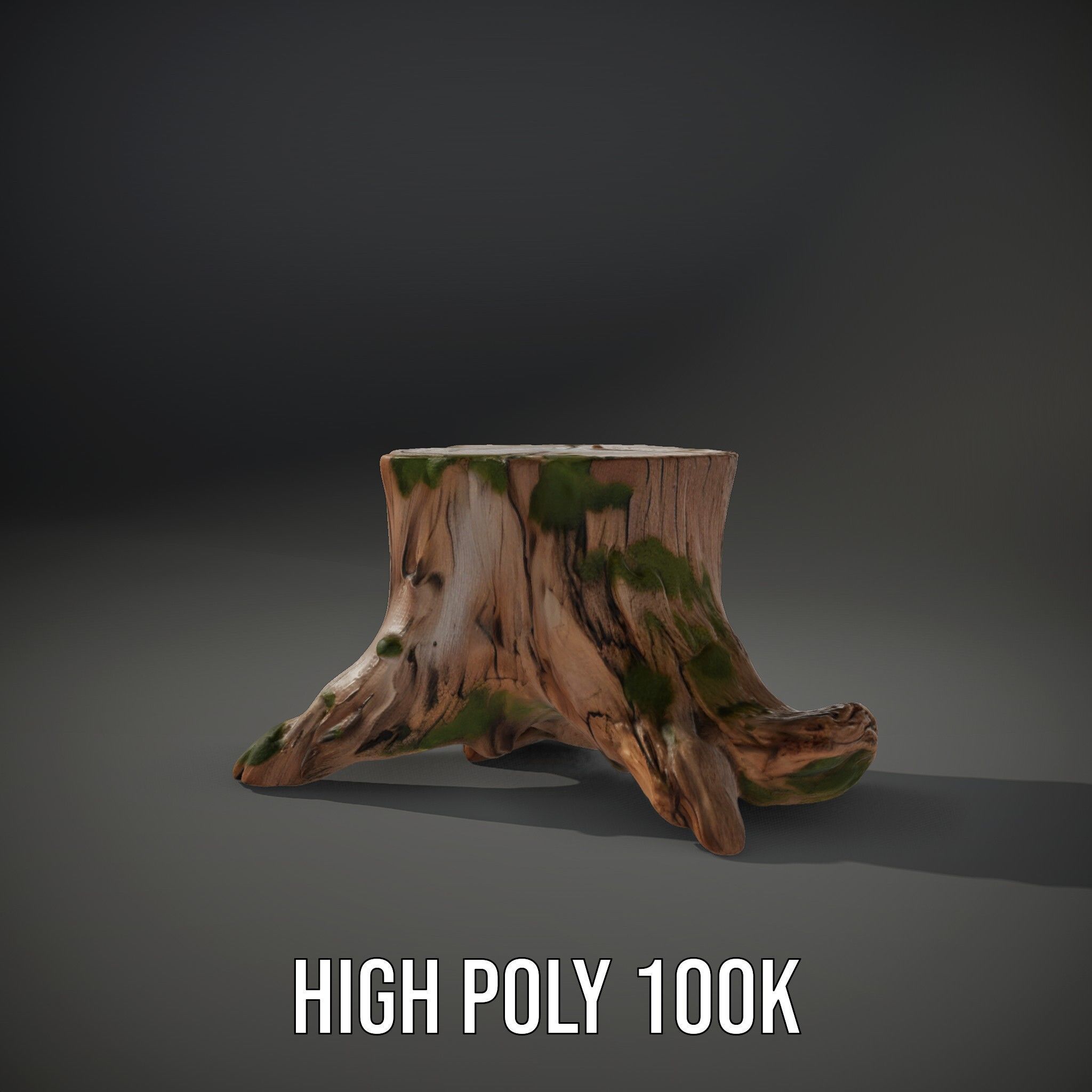 Realistic Tree Stump with Moss Model Pack Low-poly 3D model_8