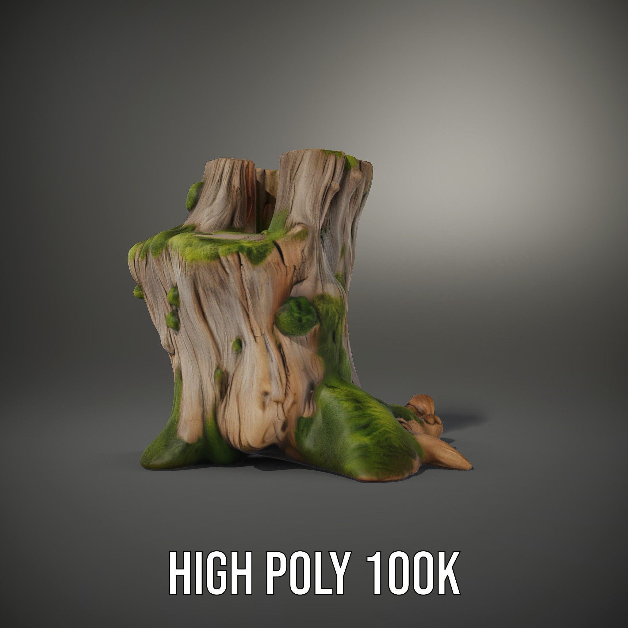 Realistic Mossy Tree Stump Model Pack Low-poly 3D model_8