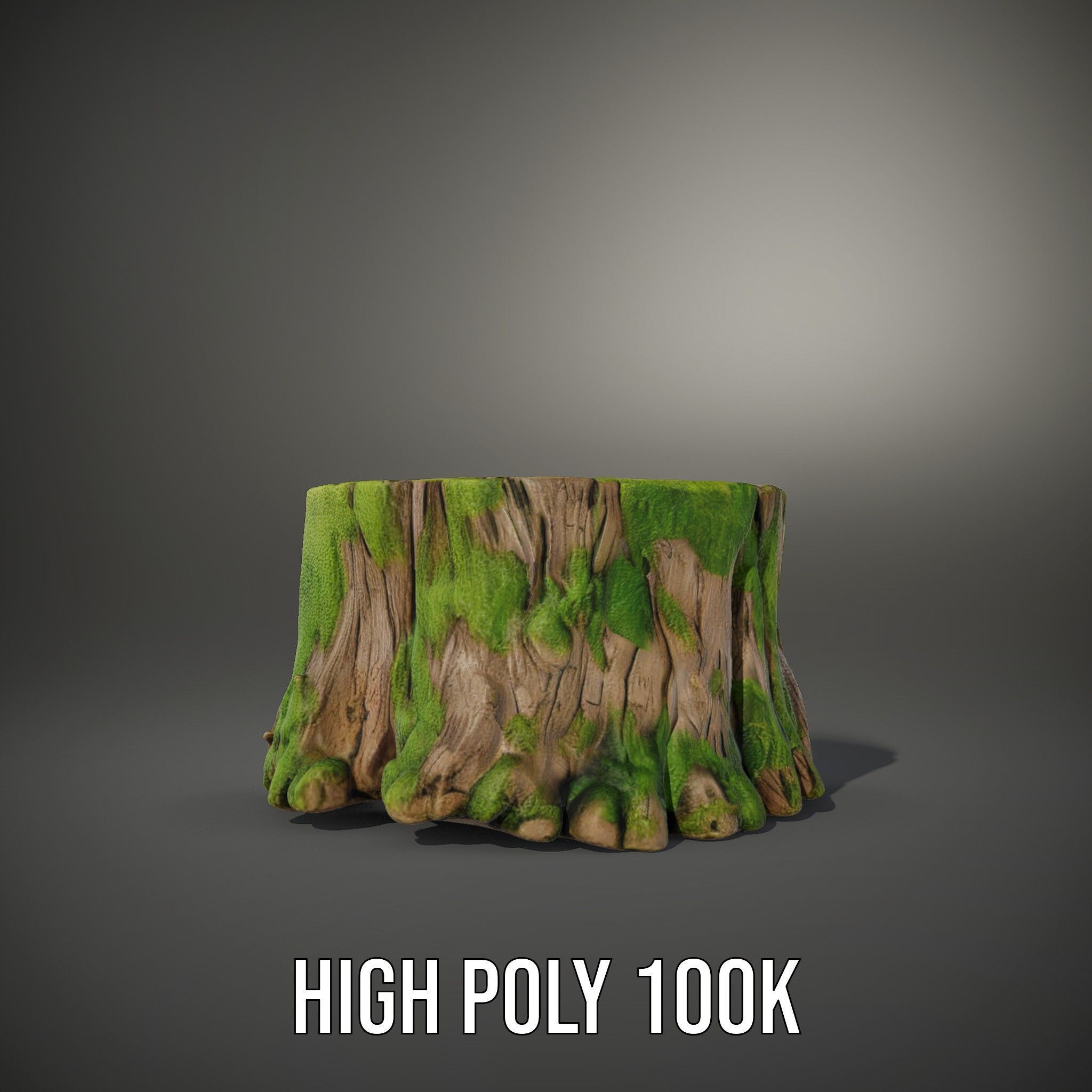 Mossy Tree Stump model pack with realistic textures Low-poly 3D model_10