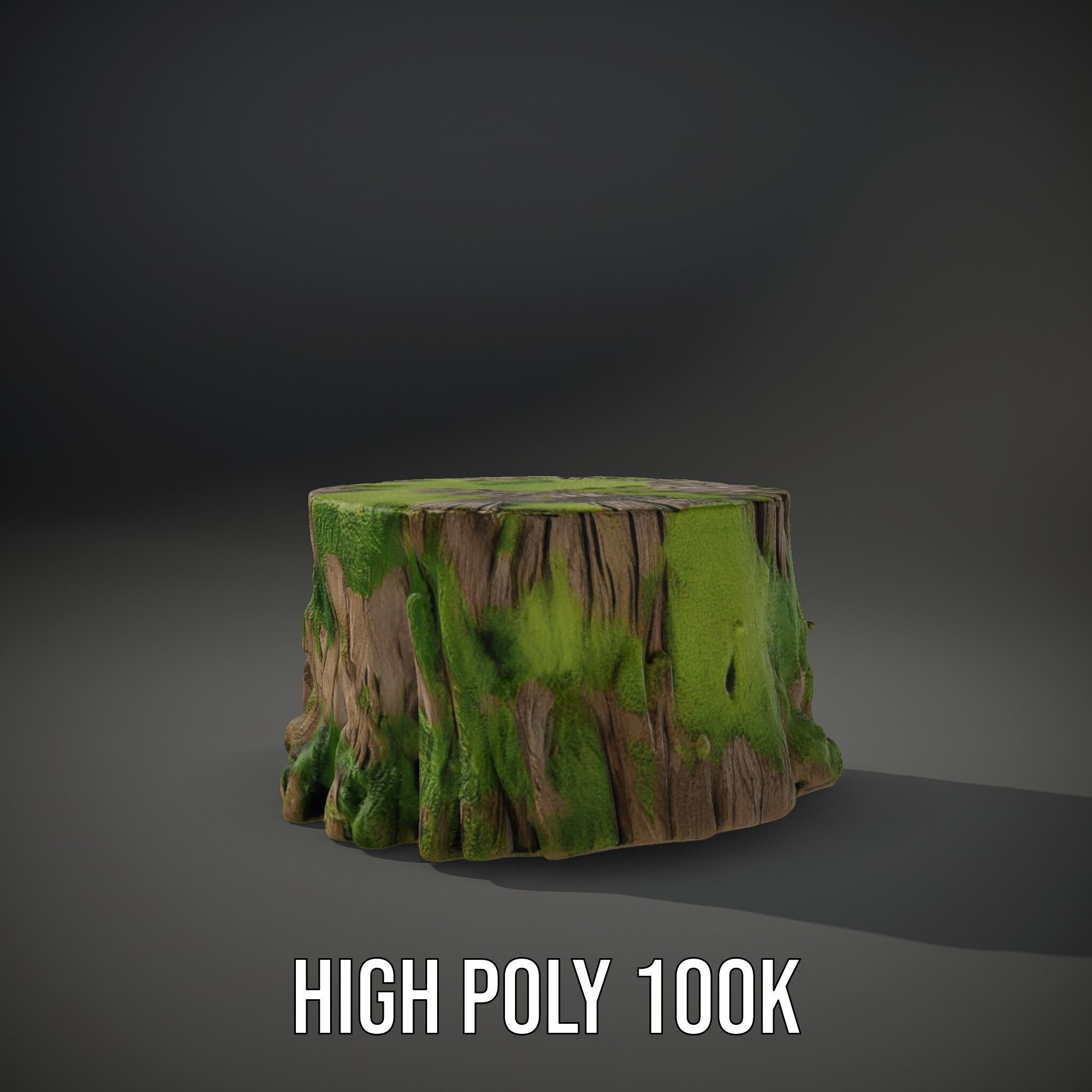 Mossy Tree Stump model pack with realistic textures Low-poly 3D model_8