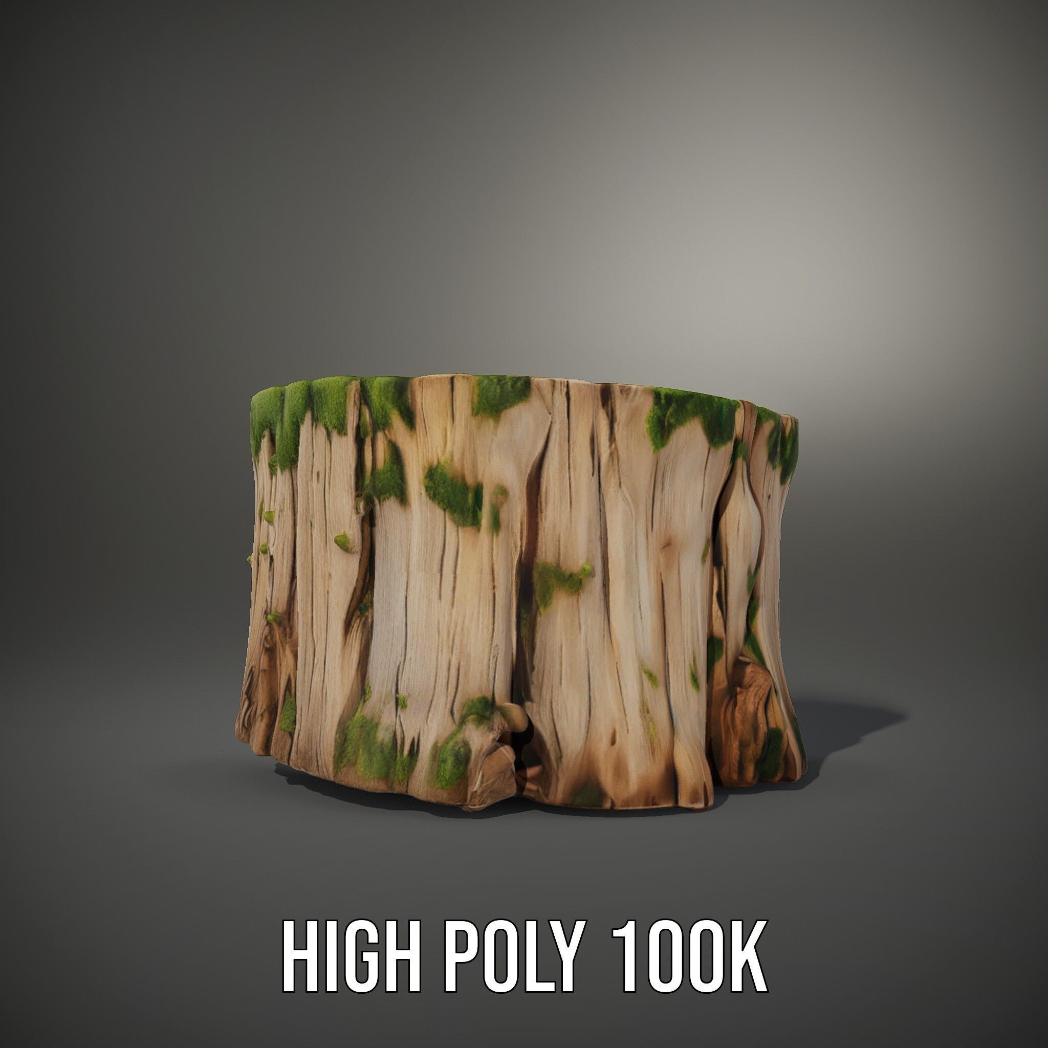 Mossy Tree Stump Model Pack Low-poly 3D model_8