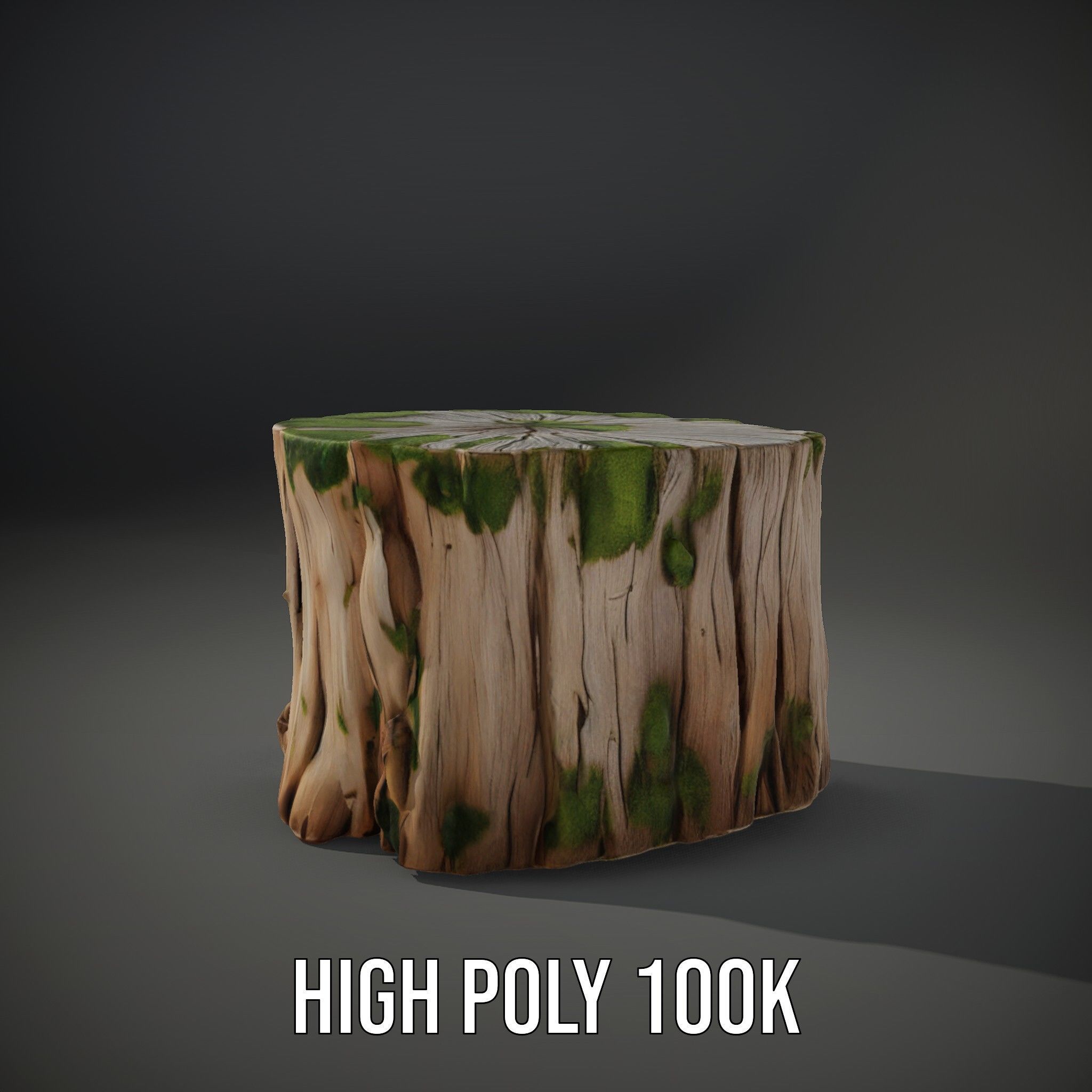Mossy Tree Stump Model Pack Low-poly 3D model_10