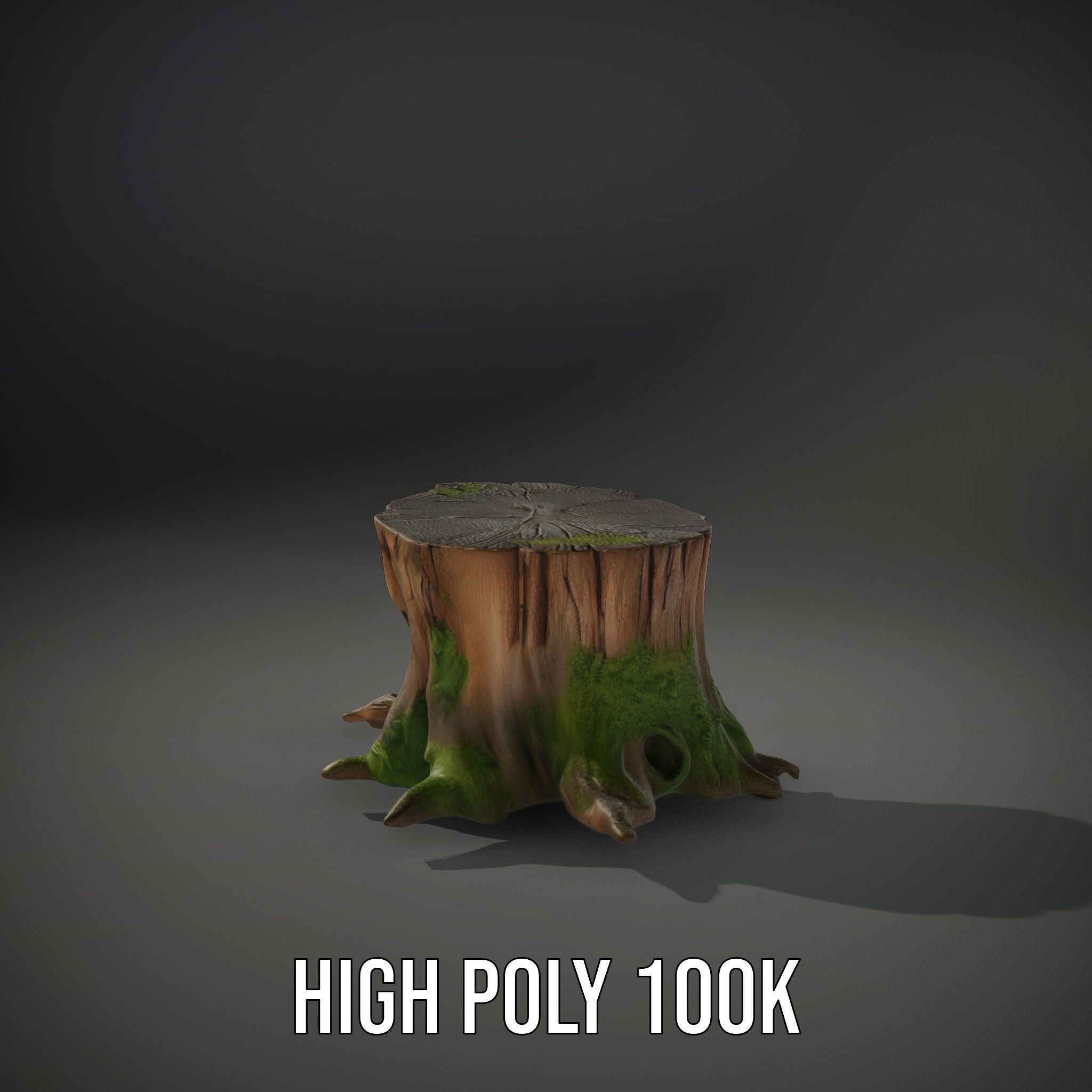 Wooden Tree Stump with Moss Model Pack Low-poly 3D model_10
